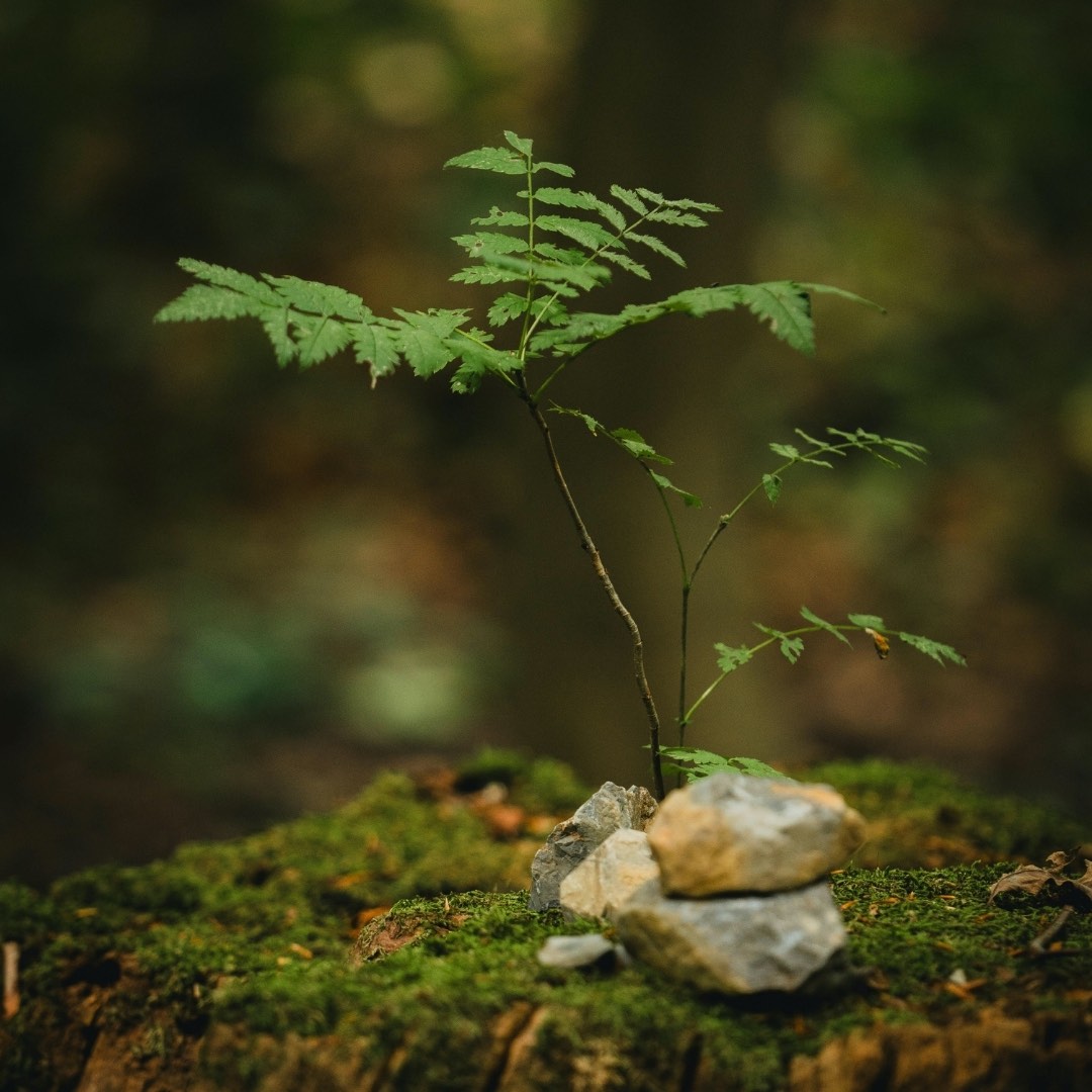 LML Square website images (1080 x 1080 px) - 74